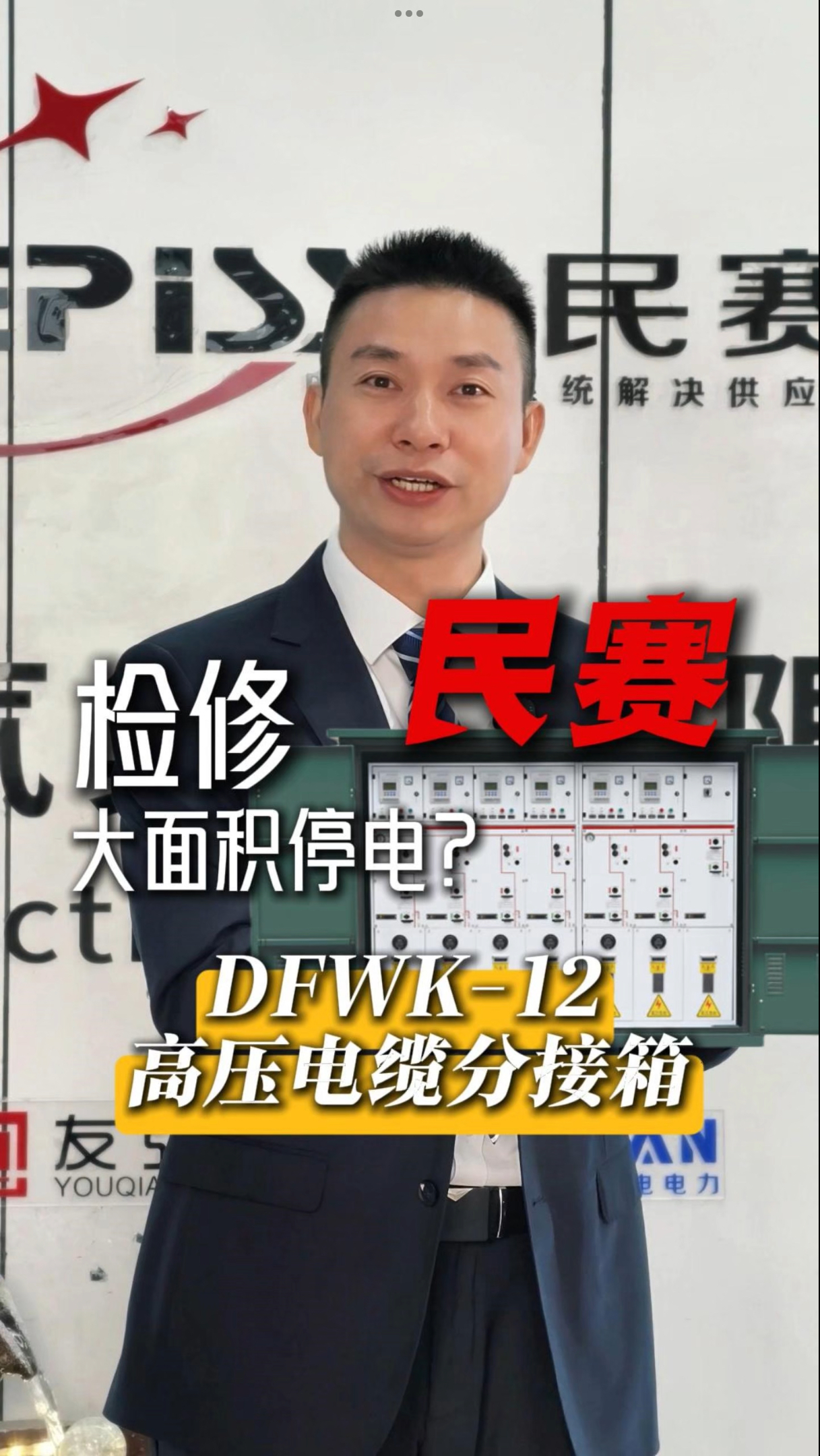 民赛DFWK-12高压电缆分接箱